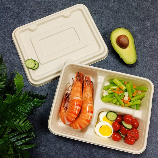 Biodegradable Disposable Paper Packaging Bagasse Pulp Tray for Food