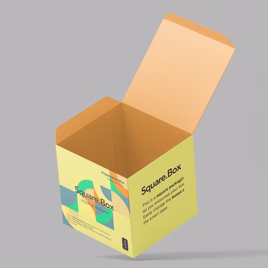 Custom Printing Folding Cardboard Paper Box with Clear PVC Window